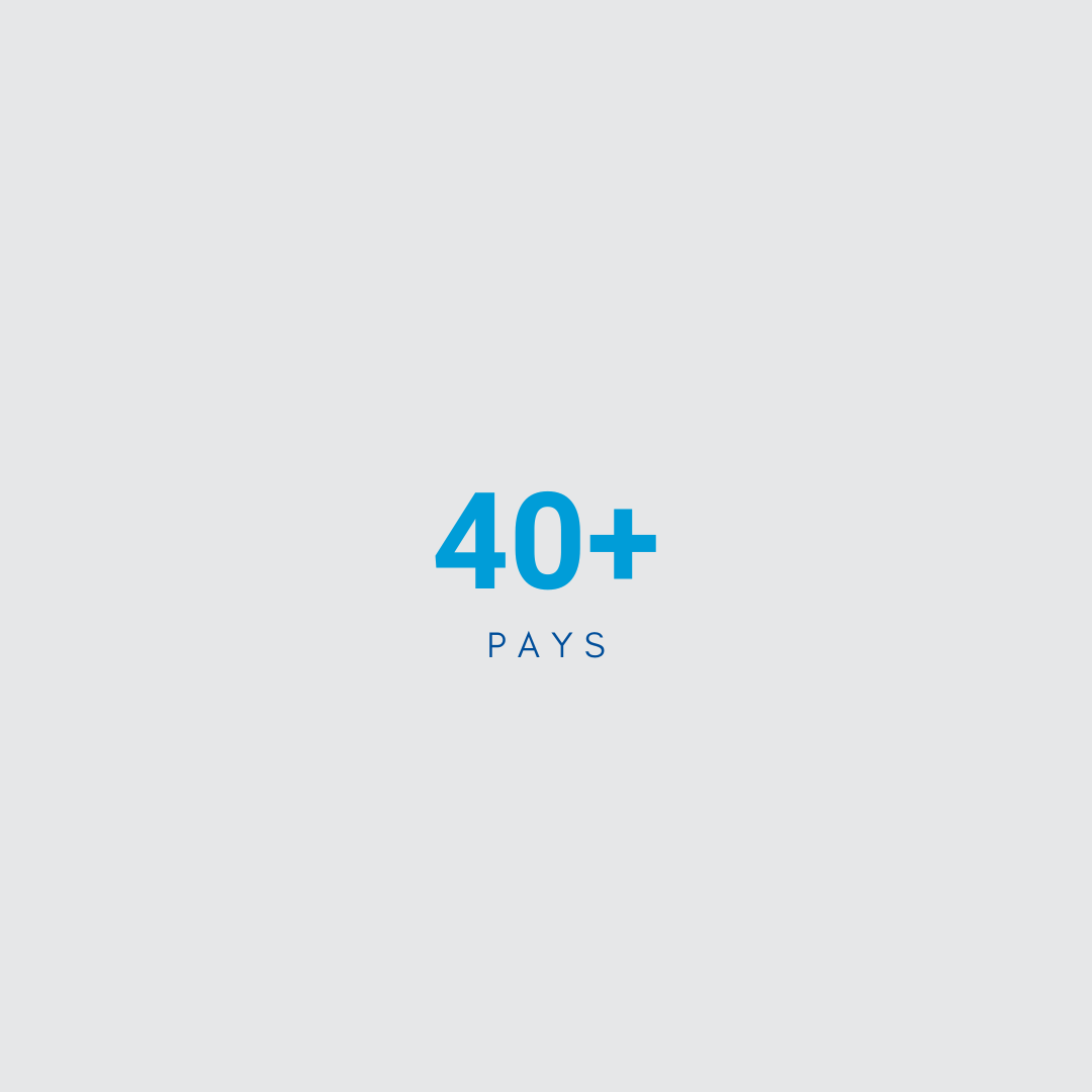 BizzMine_Numbers_40_FR