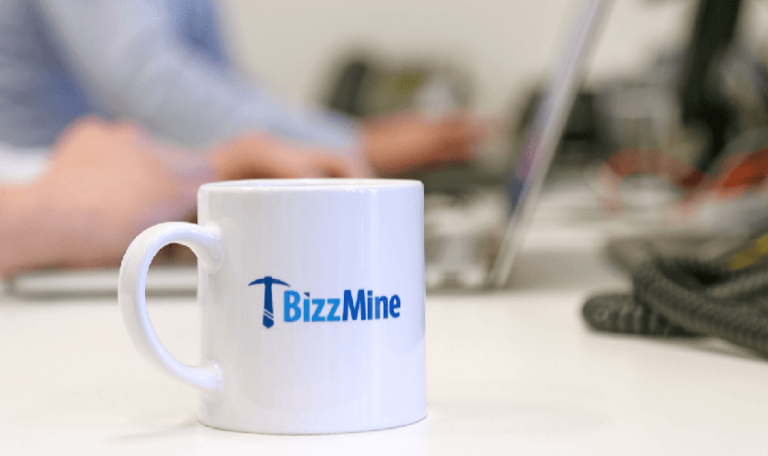 BizzMine_Career_02