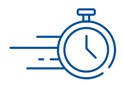 Icon_BizzMine_Fast Implementation_Homepage
